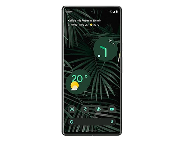 Dit product is geschikt voor de Google Pixel 6 Pro