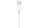 Apple Magnetic Charging Cable Apple Watch - USB-A - 2 meter - Wit